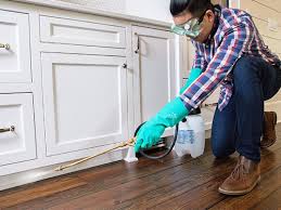 Best Pest Control for Multi-Family Homes  in Rio Grande, OH